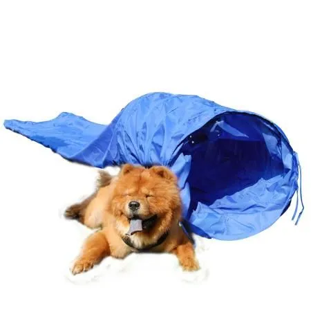 15' Dog Agility Tunnel Pet Training Equipment with Carry Case Blue