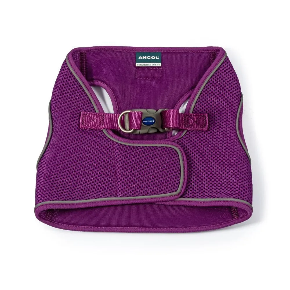 Ancol Viva Small (35-42cm) Purple Step-In Harness