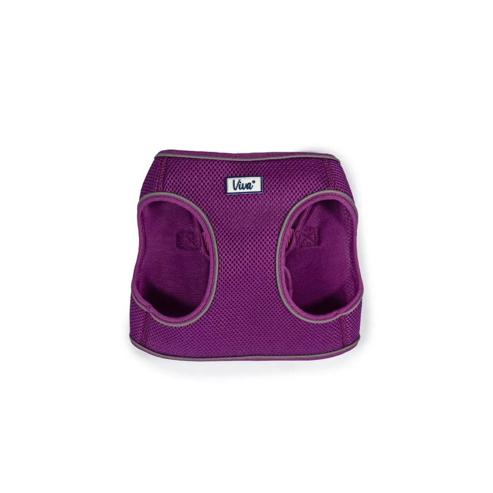 Ancol Viva Small (35-42cm) Purple Step-In Harness