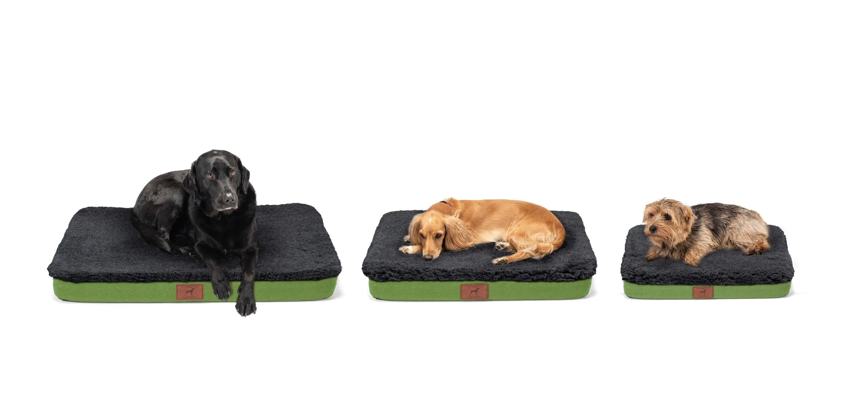 Apple Green Dog Mat