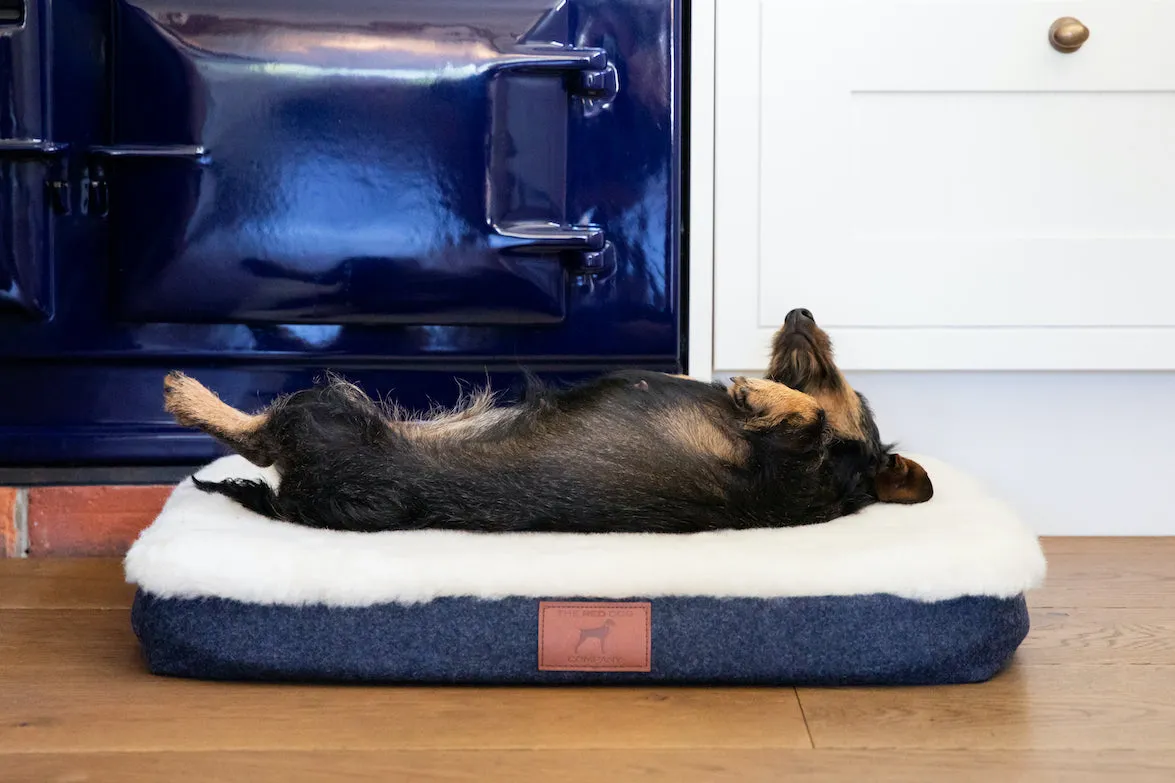 Cobalt Blue Bespoke Dog Mat