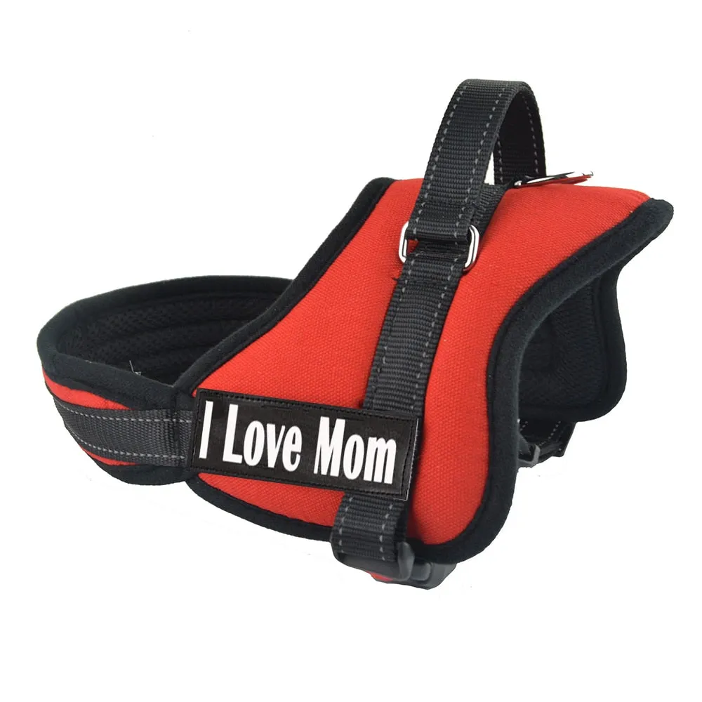 Dog Harness Leash Padded