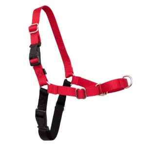 Easy Walk No-Pull Dog Harness