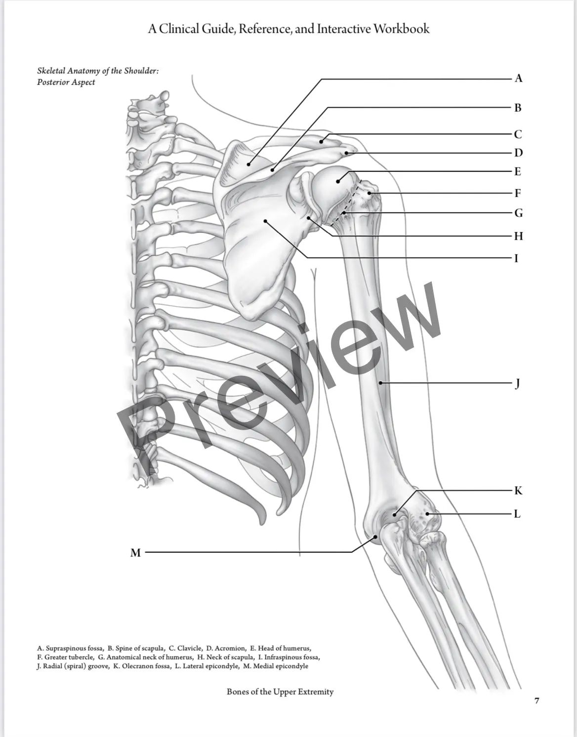 Everyday Anatomy 2nd Edition! 0.9 free CEUs! REGULAR NON-VENMO PRICING