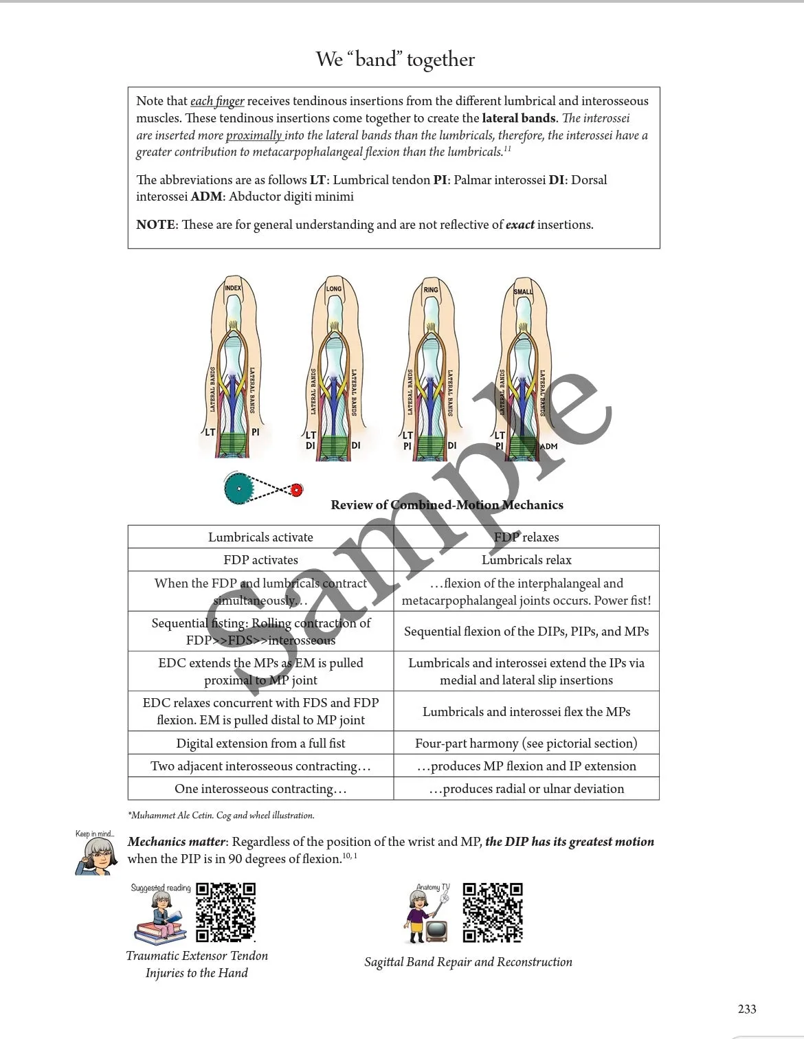 Everyday Anatomy 2nd Edition! 0.9 free CEUs! REGULAR NON-VENMO PRICING