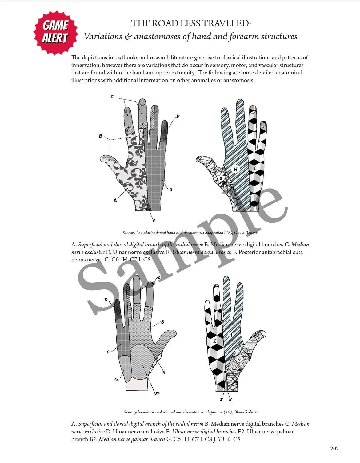 Everyday Anatomy 2nd Edition! 0.9 free CEUs! REGULAR NON-VENMO PRICING