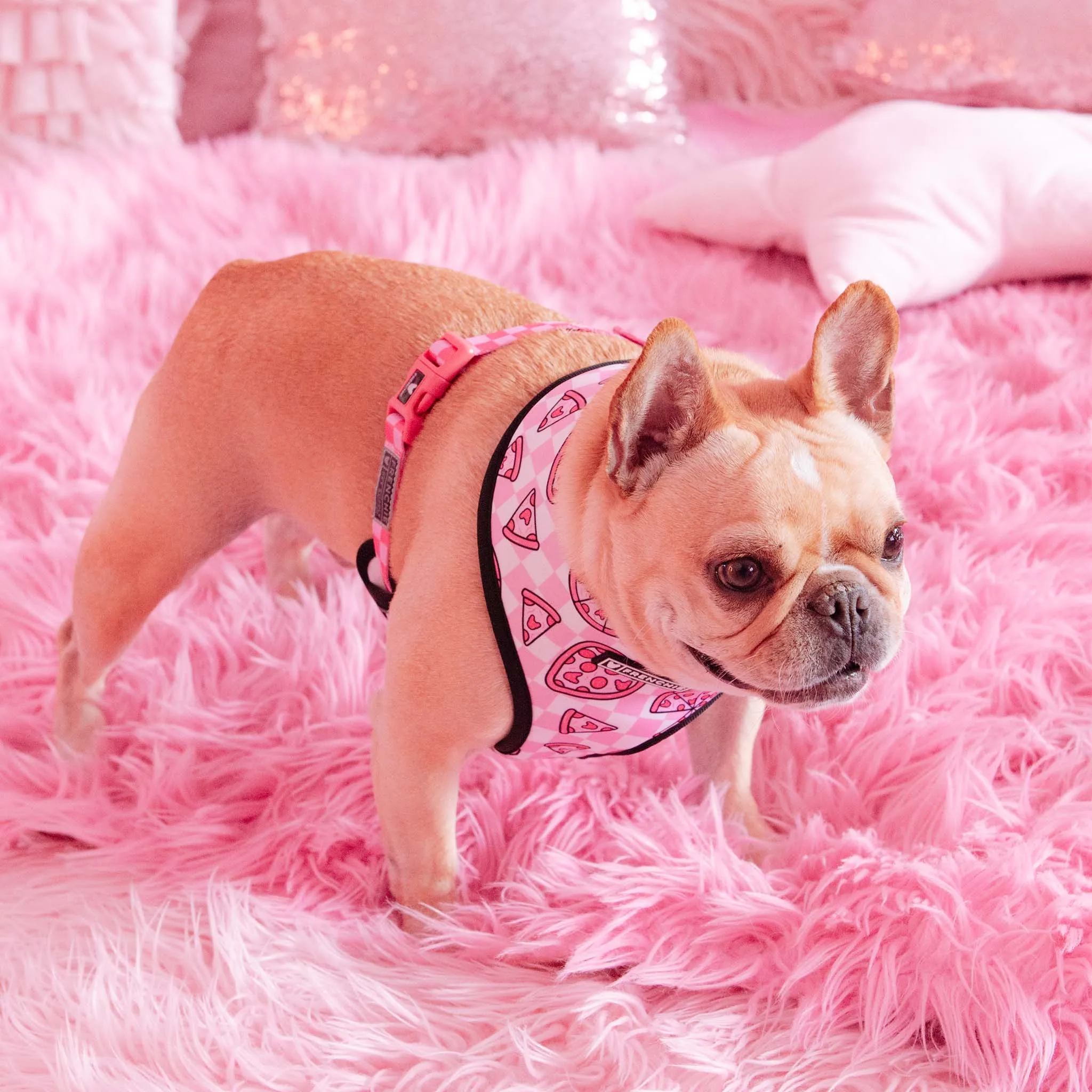 Frenchie Duo Reversible Harness - Pink Pizza