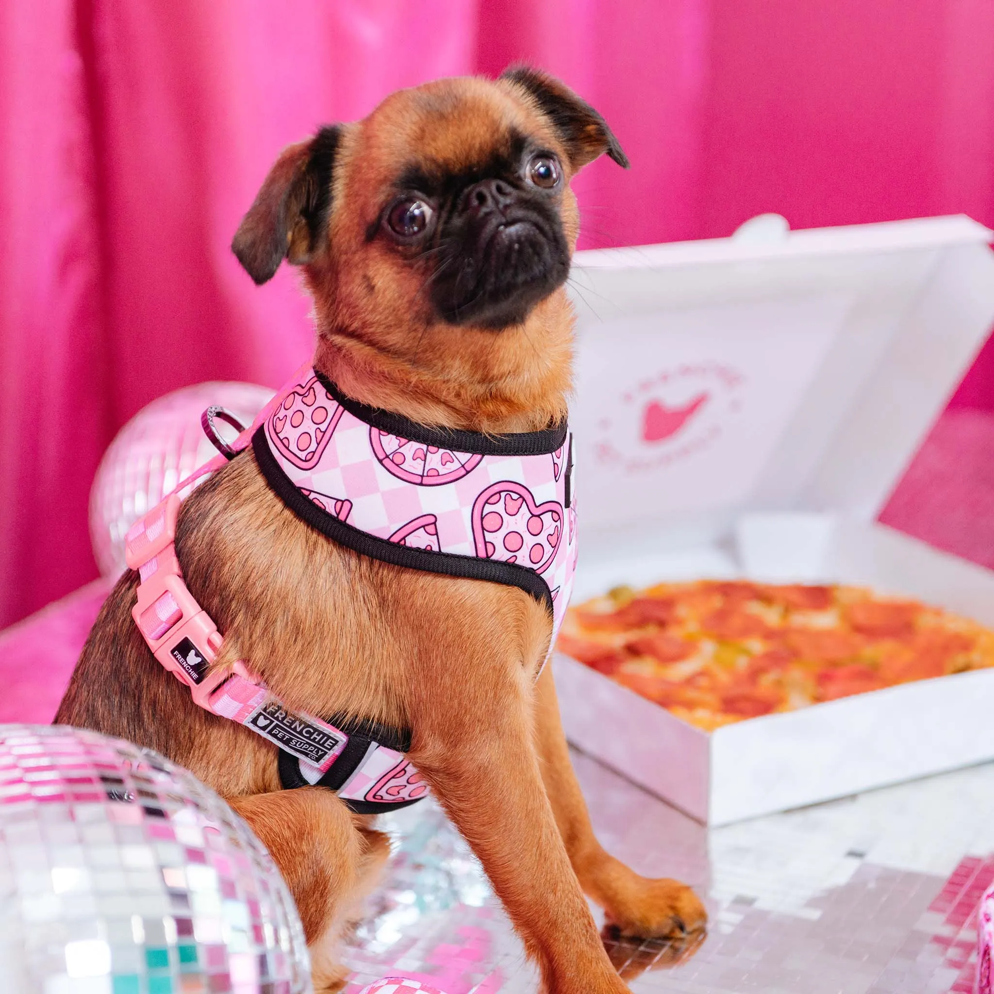 Frenchie Duo Reversible Harness - Pink Pizza