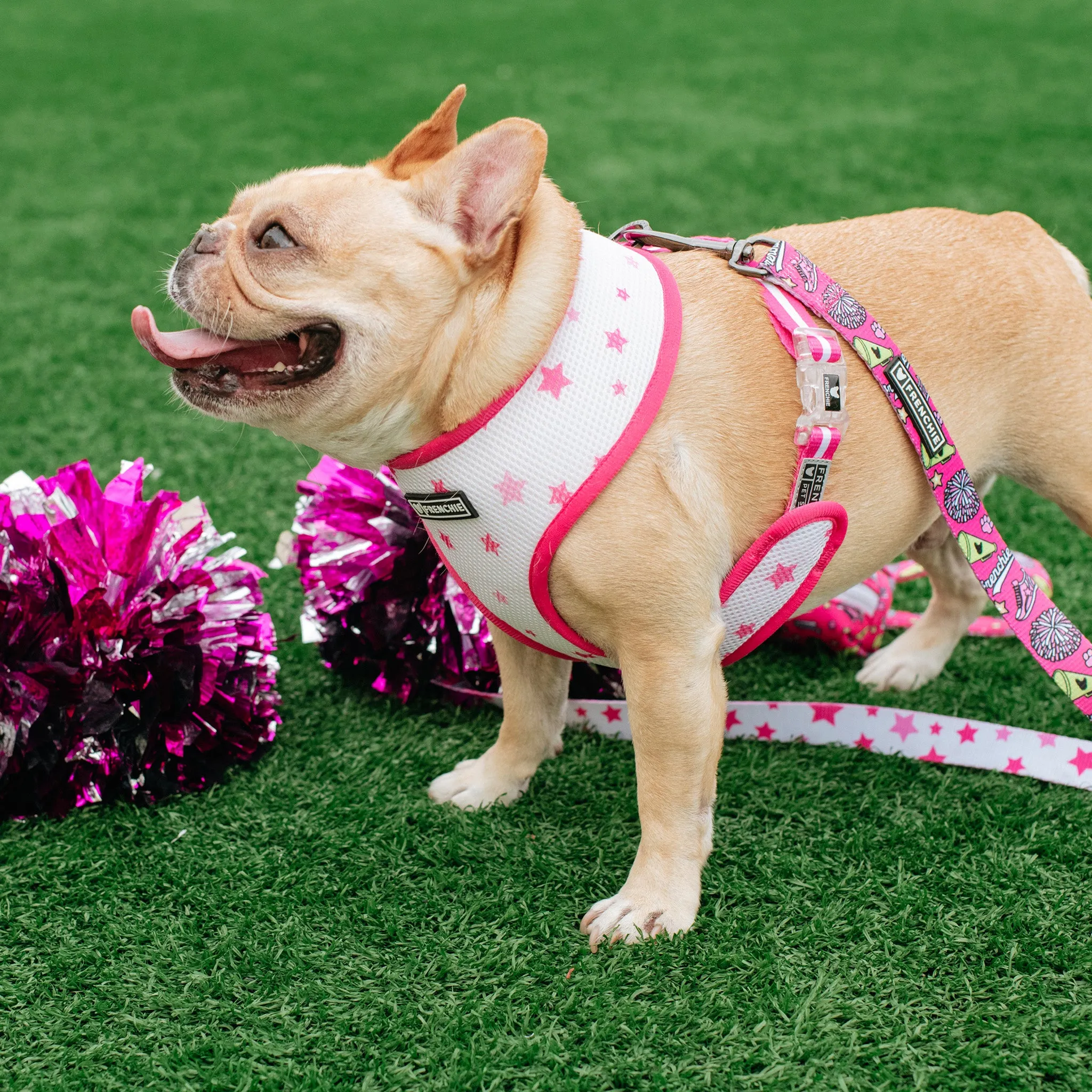 Frenchie Duo Reversible Harness - Spirit Paws