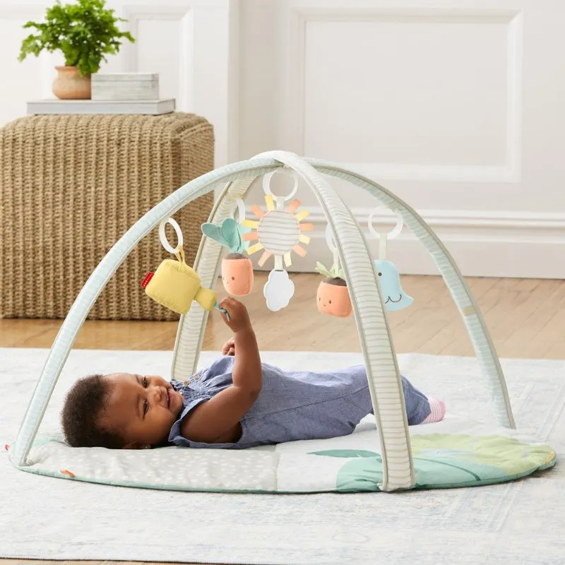 Garden Oasis Activity Gym