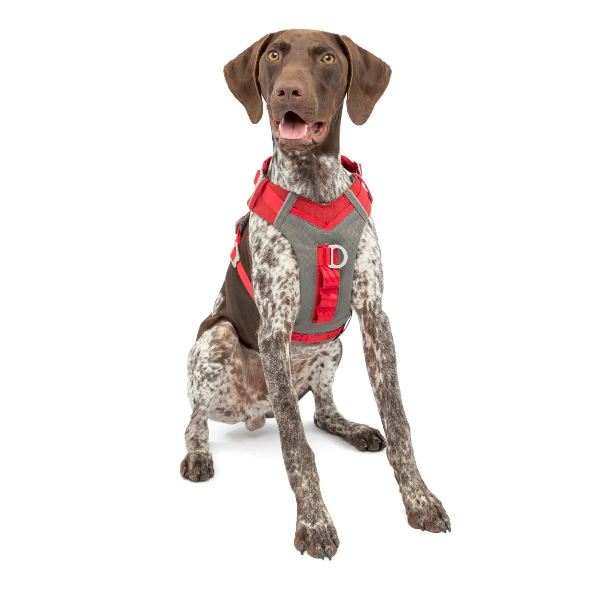 Journey Air Dog Harness