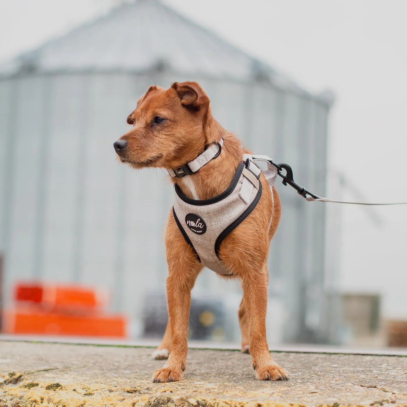 Love Nala Bonnie Harness