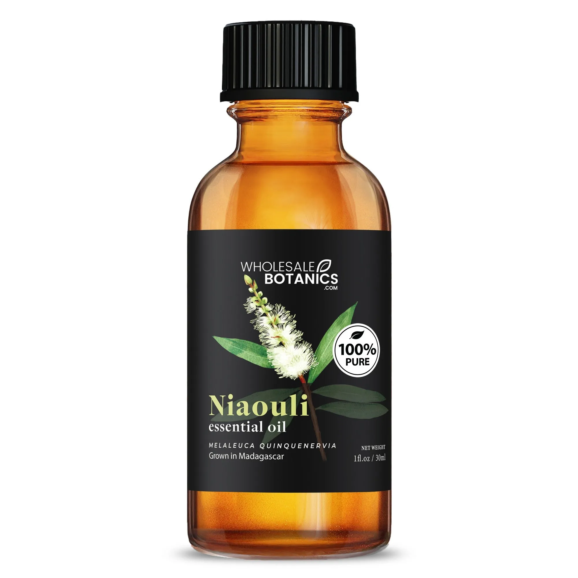 Niaouli Essential Oil