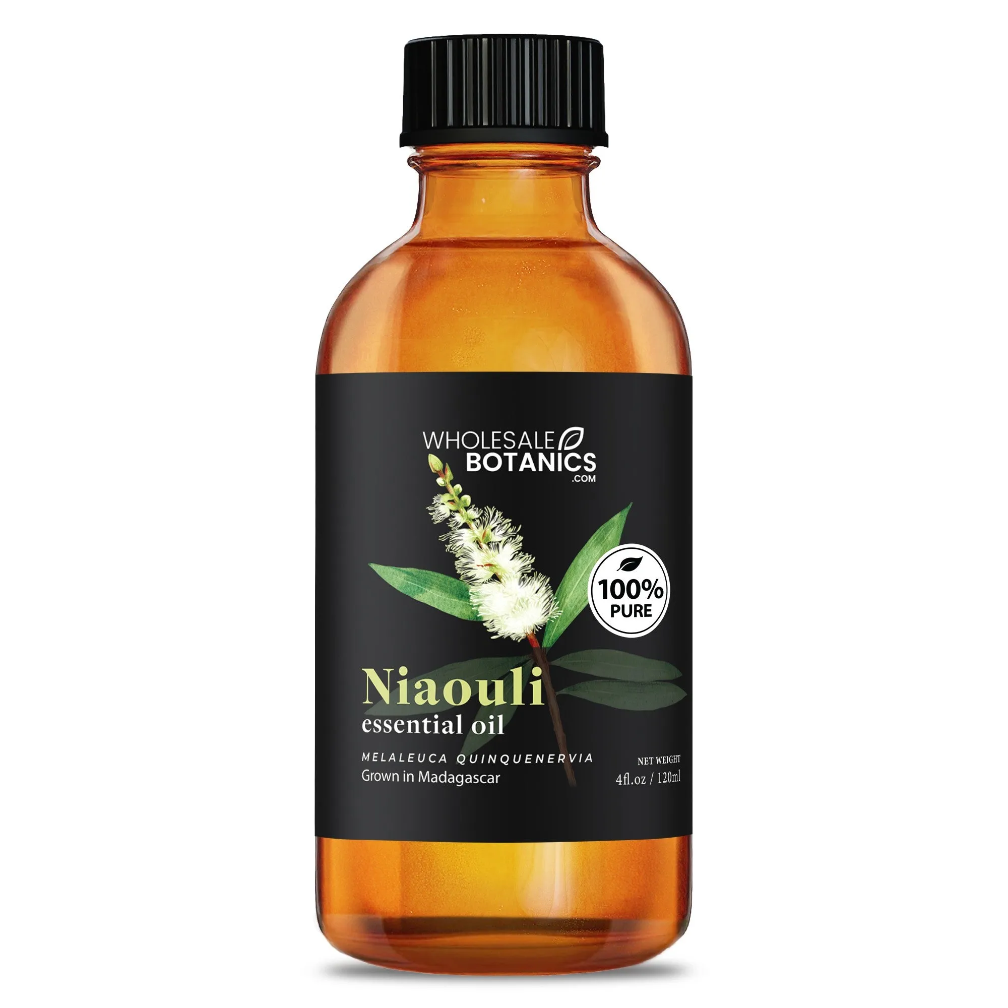 Niaouli Essential Oil