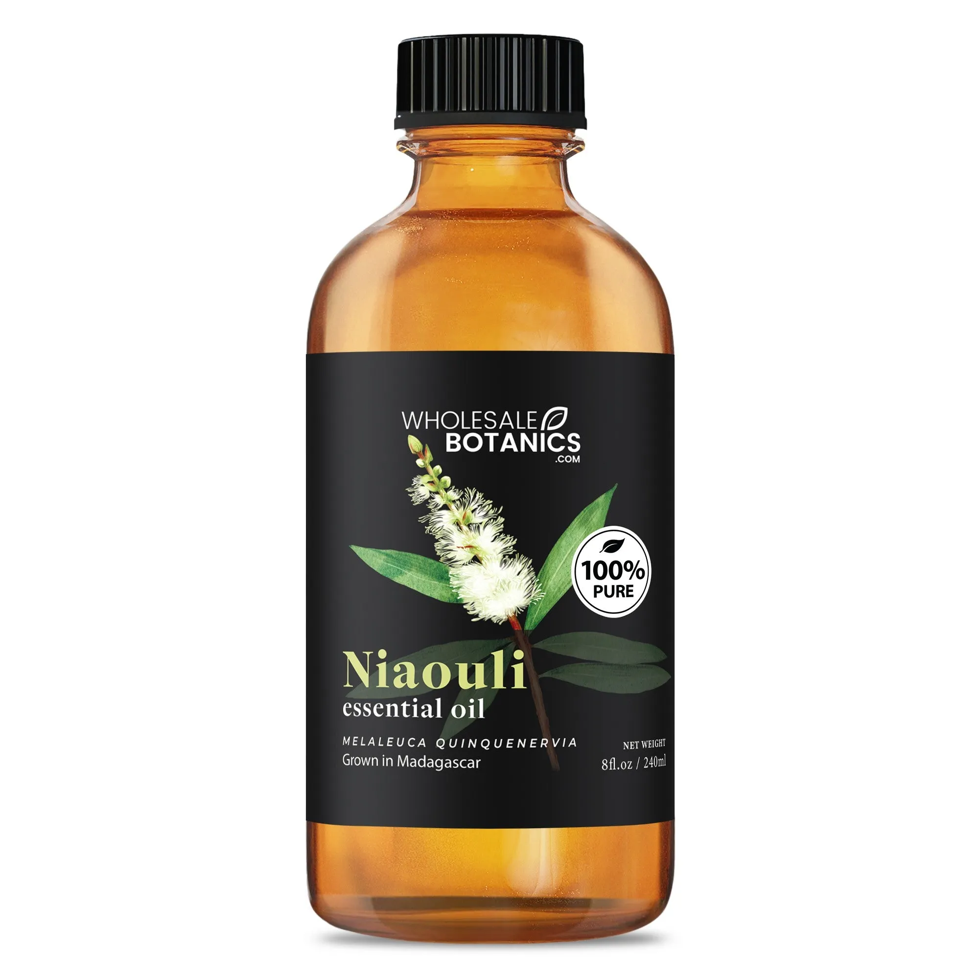 Niaouli Essential Oil