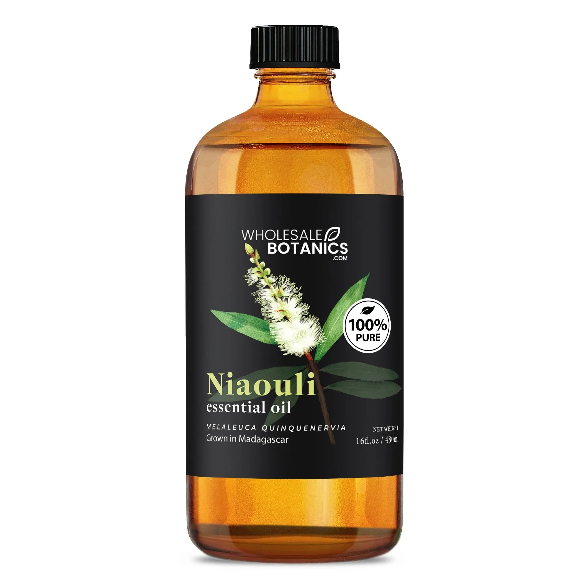 Niaouli Essential Oil