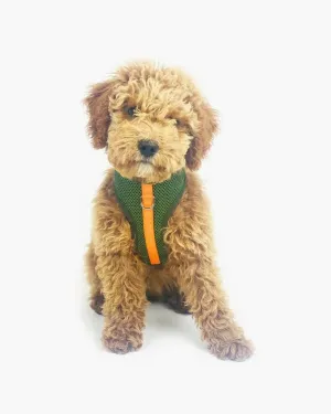 Wagwear - Color-Block Padded Harness